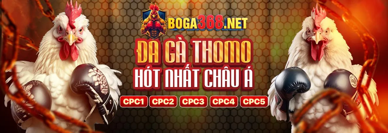 Hình ảnh minh họa sự đa dạng trò chơi tại 8kbetcc