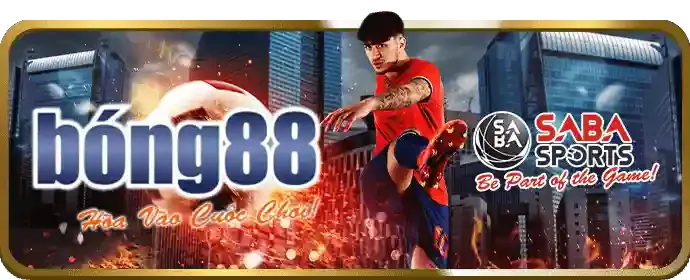Hình ảnh chương trình Affiliate