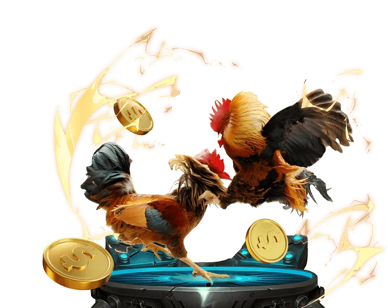 Hỗ trợ khách hàng 24/7 của 8kbetcc